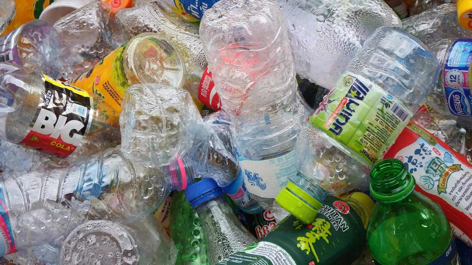 Recycled Plastic Bottles