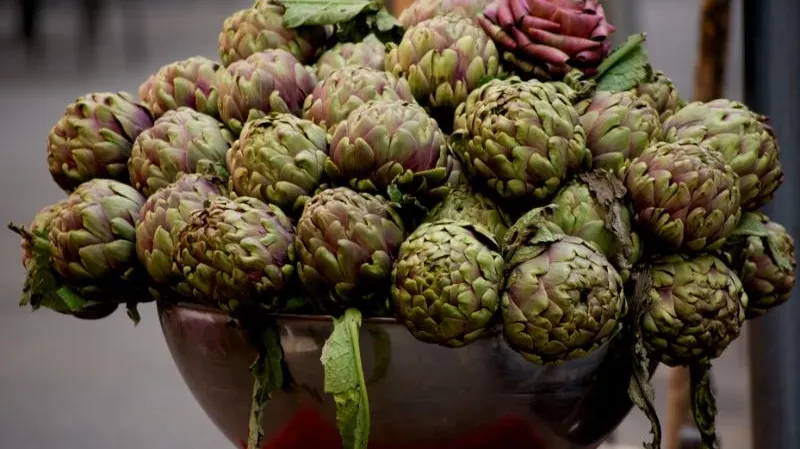 Carciofi_romaneschi