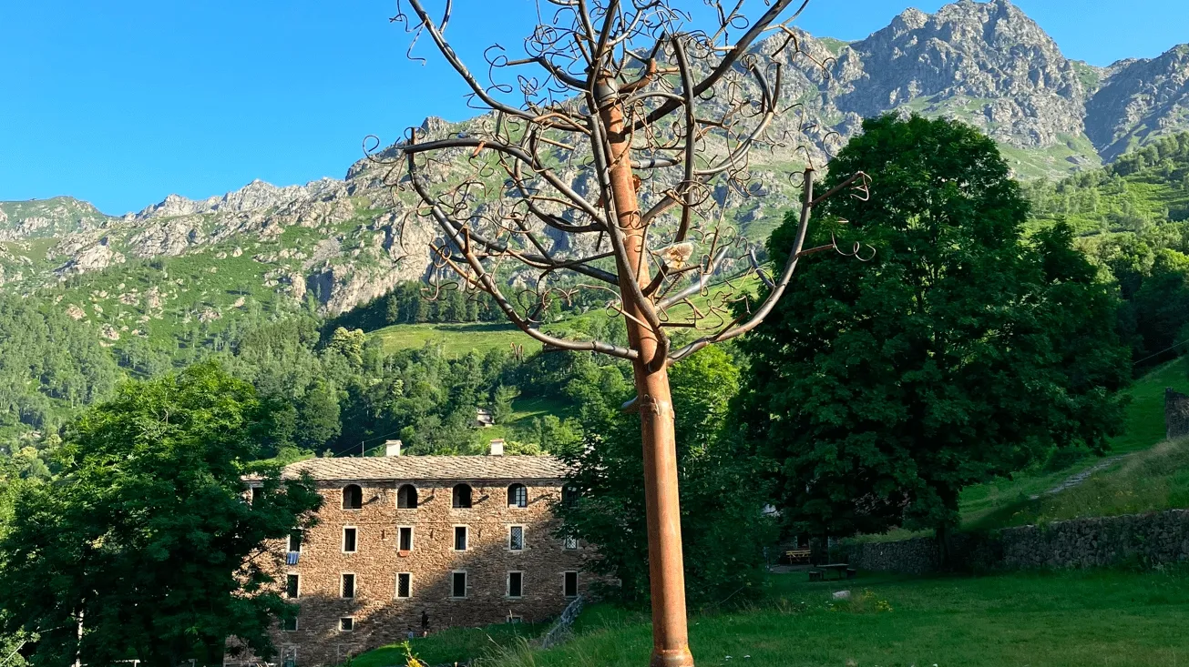 240728 Festa Della Trappa