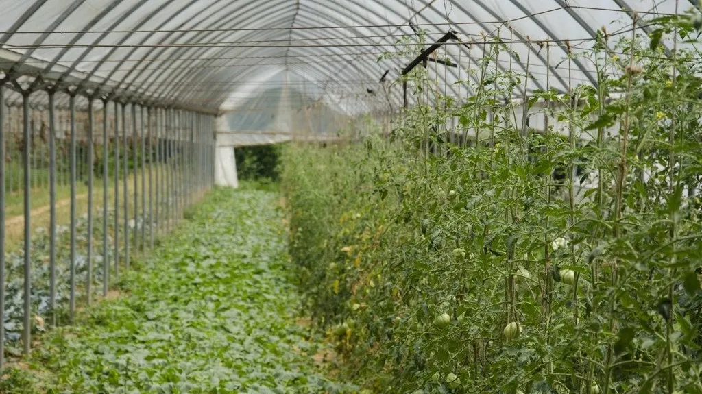9 Metodo Manenti Modo Innovativo Fare Agricoltura 1487348356