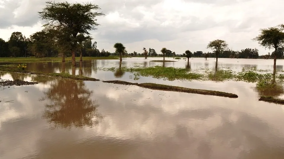 Flood 2317782_960_720 1