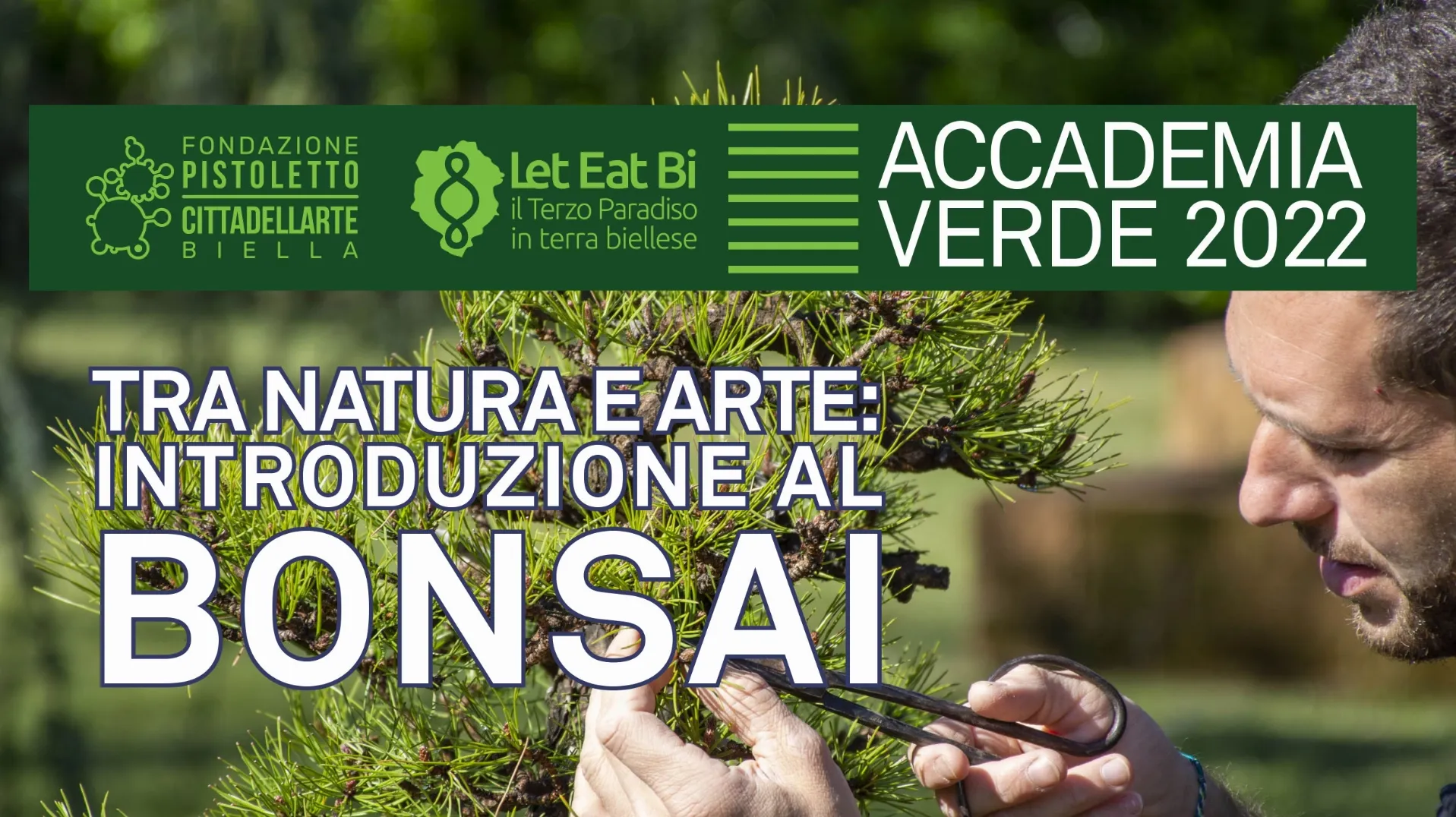 Accademia Verde Bonsai4