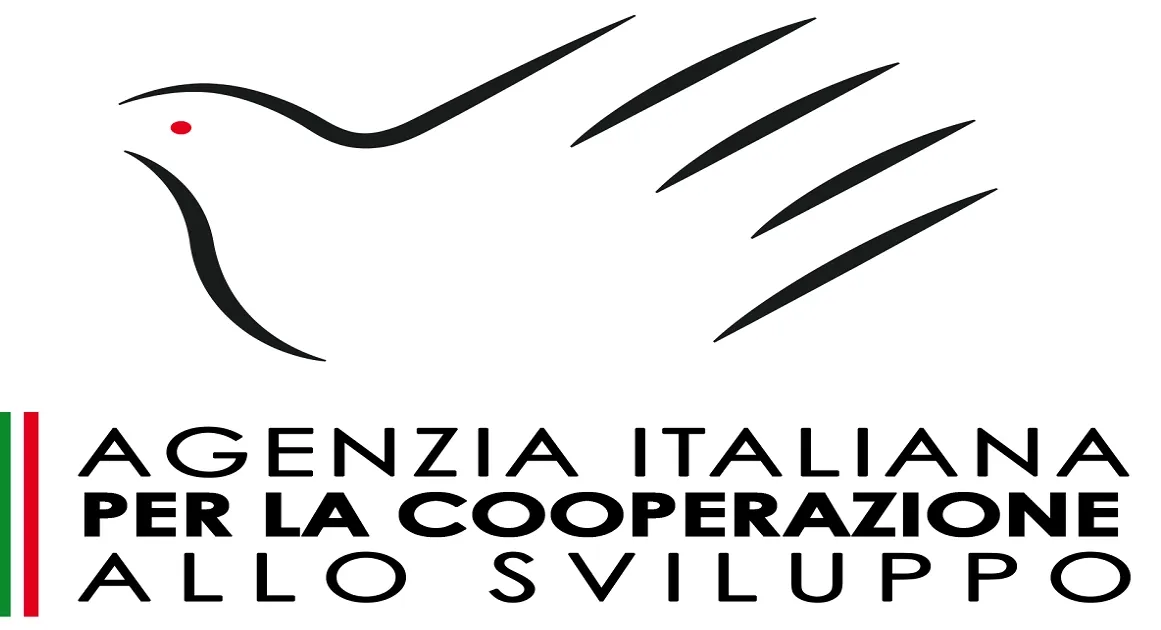 Articolo AICS