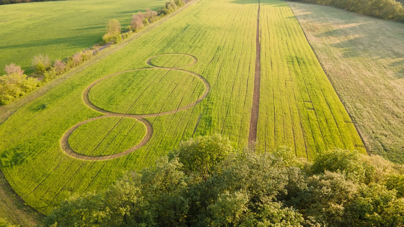Foto Drone Campo Grano 2021 LOW RES DJI_0127
