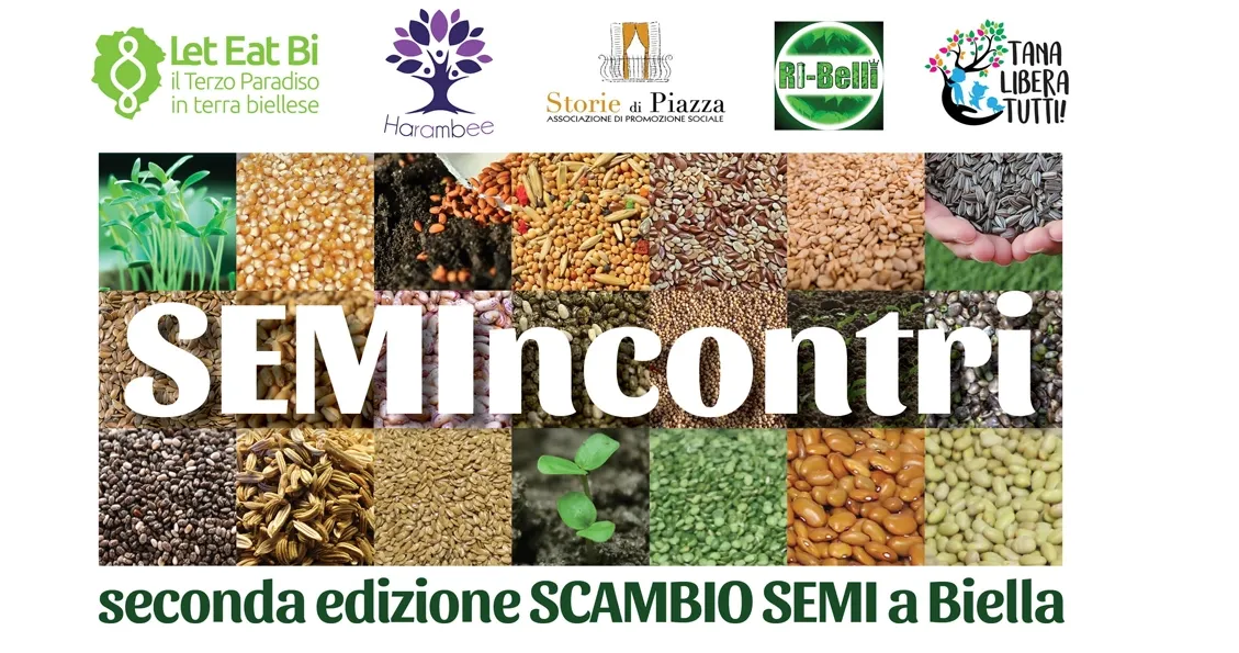 Semincontri