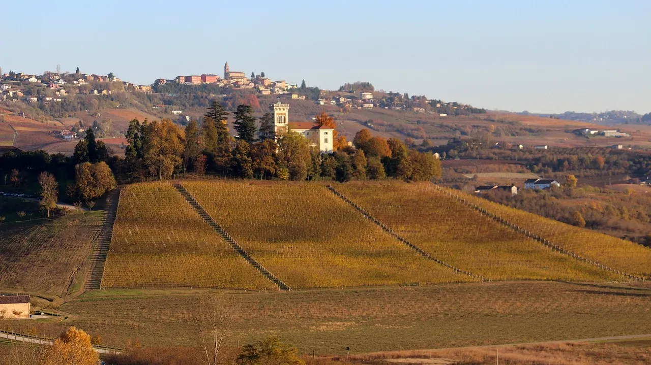 Langhe 4836566_1280