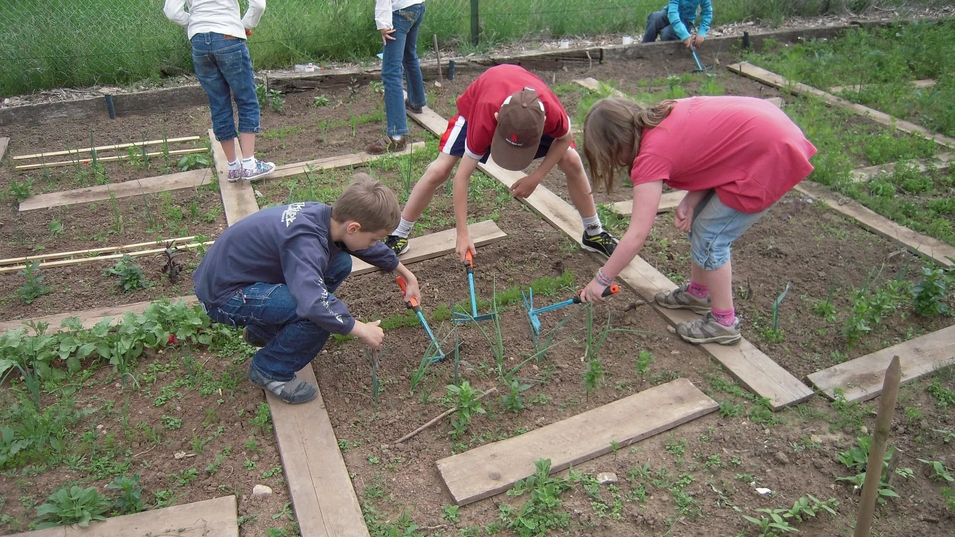 School Garden 1737320_1920