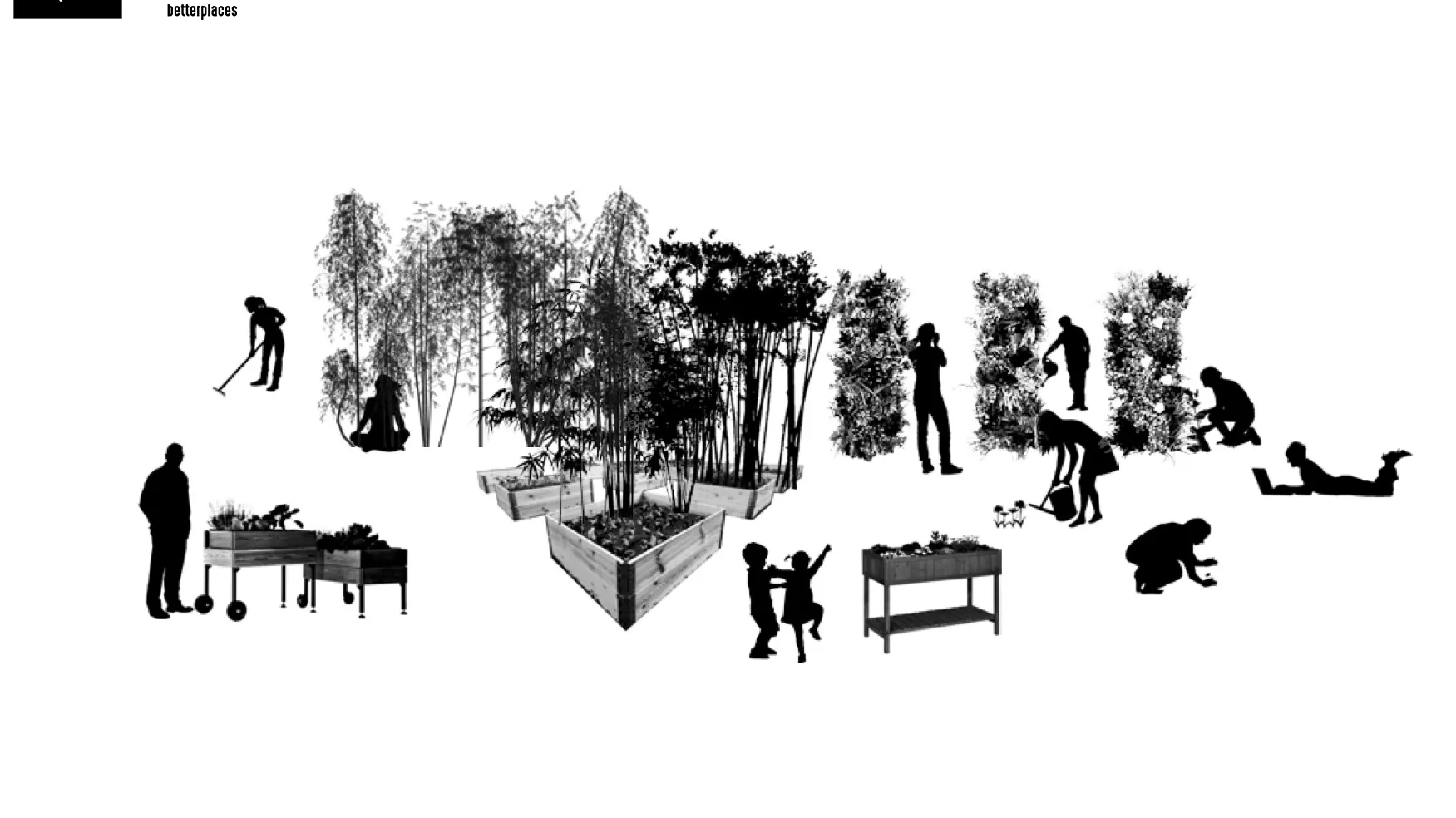 Board_Floating Forest