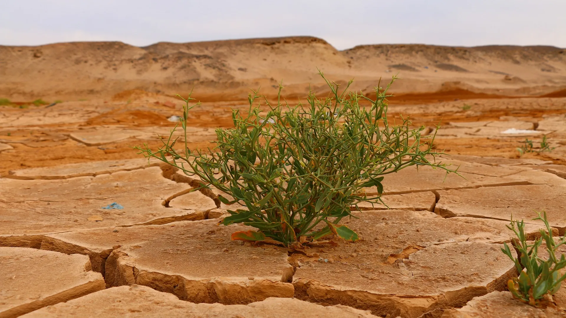 Desert G7a2e55_1920