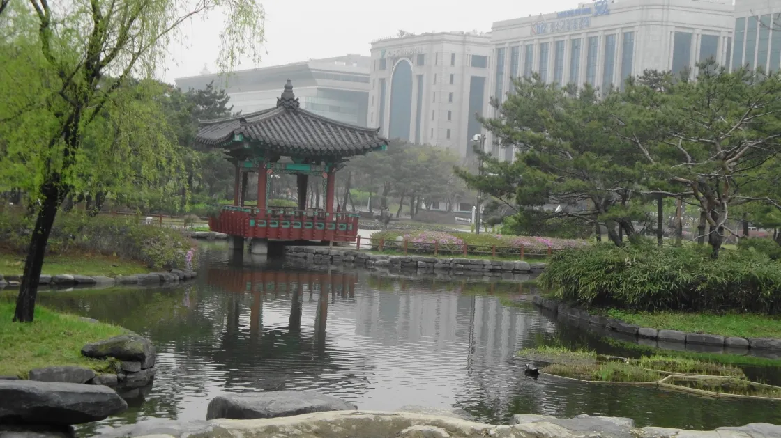 Yeouido Park Pond 1