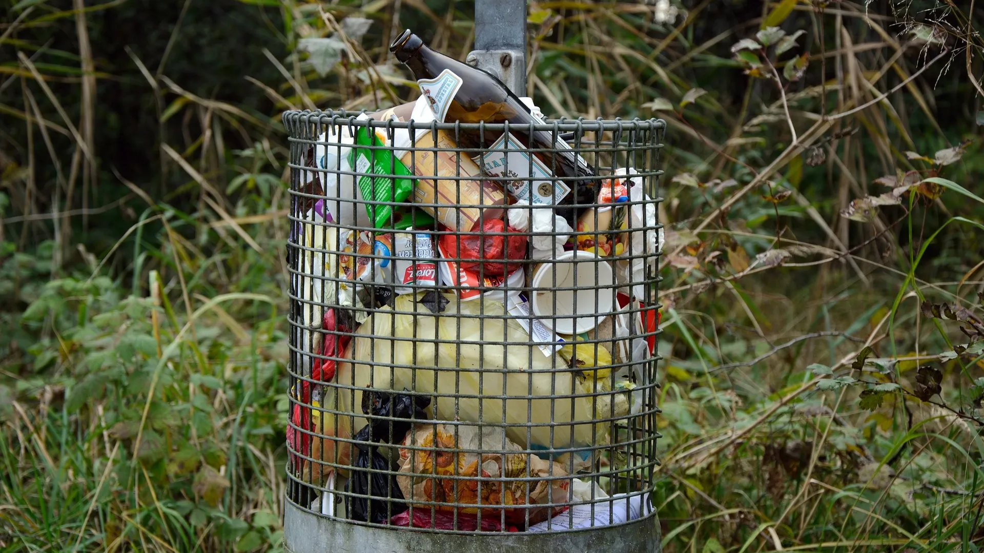 Garbage 511894_1920