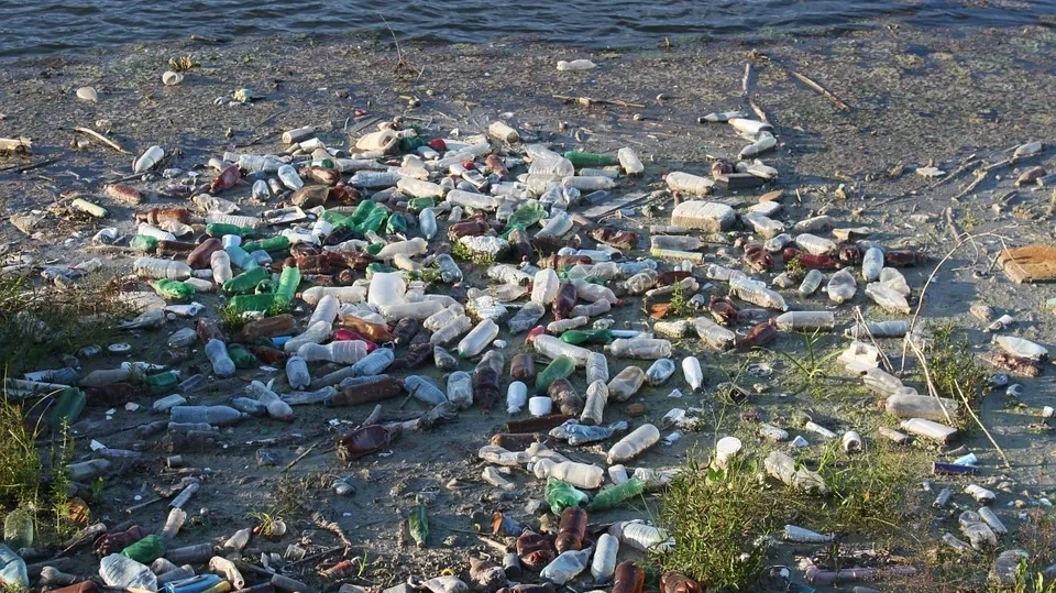 Bottles 87342_960_720