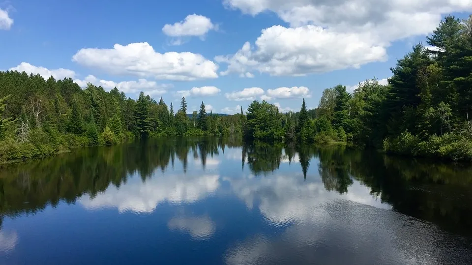 Woods River Landscape Water Nature Forest Lake 2729129