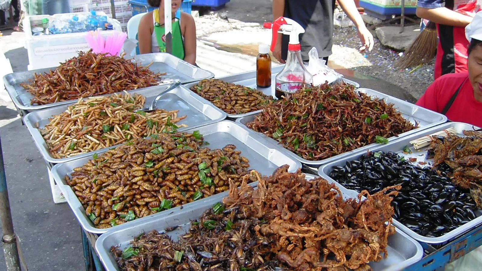 Insect_food_stall