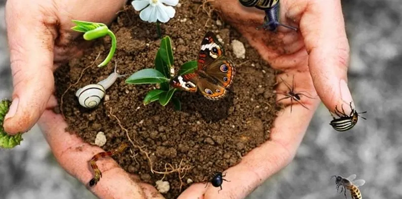 Biodiversita 1