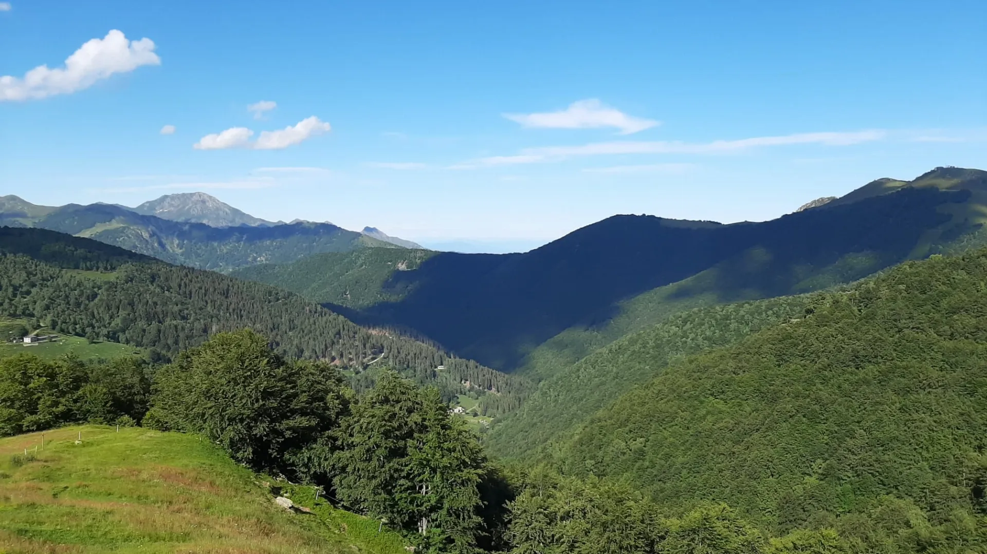 IMG 20200621 WA0018