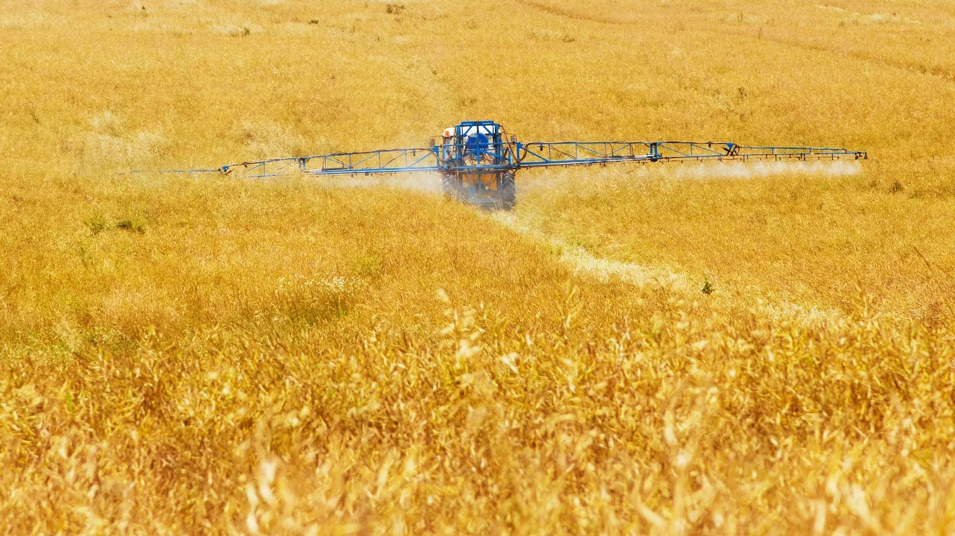 Agriculture 89168_1920