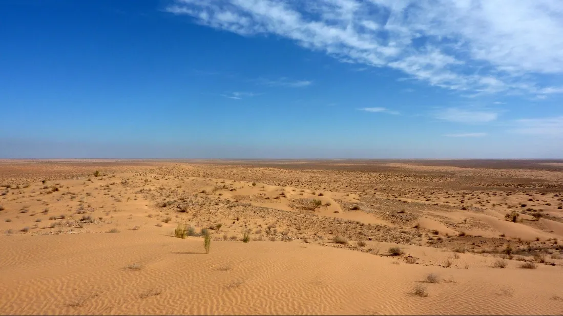 Sahara_1