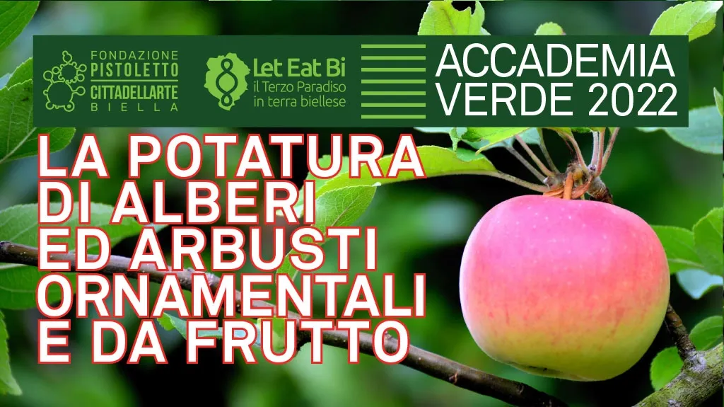 Accademia VerdeI 22 JournalFONTNEW