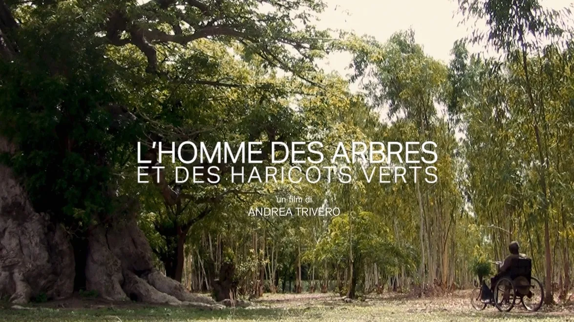 LHOMME DES ARBRES_affiche Du Film